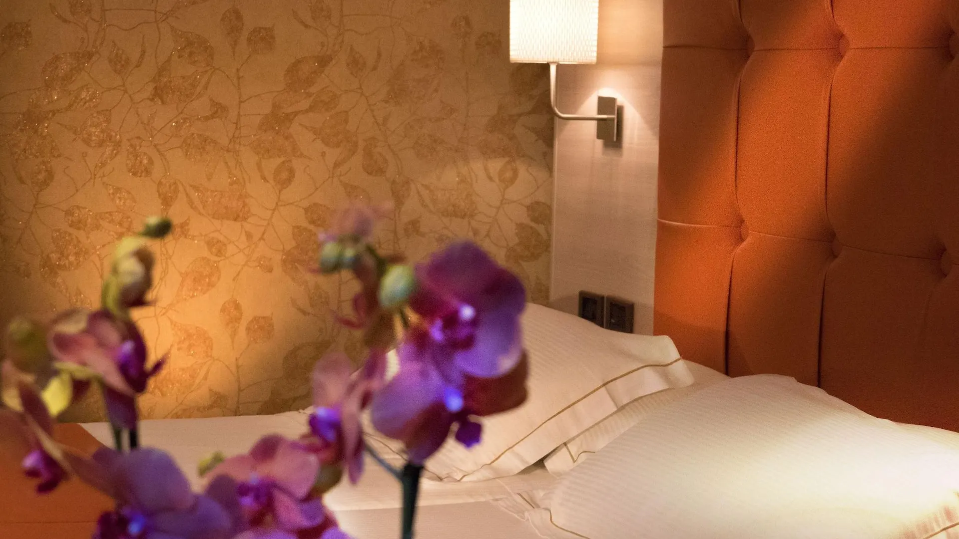 Hotel Diana Roof Garden Rome 4*,